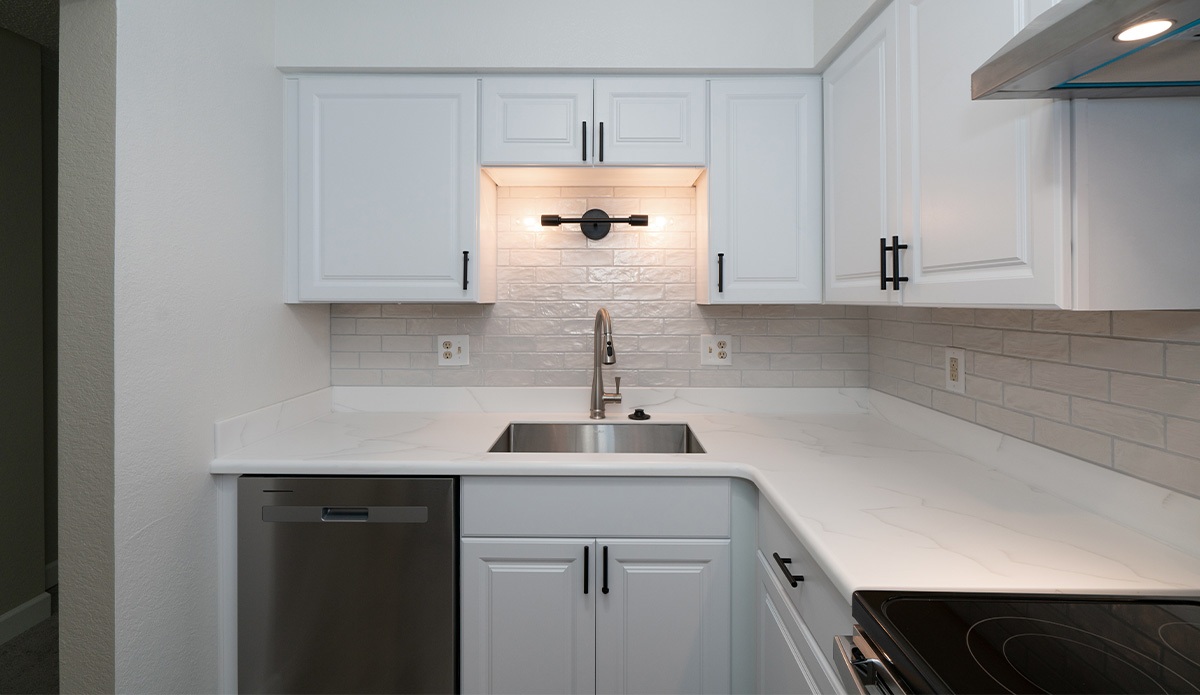 Modern Style Kitchen