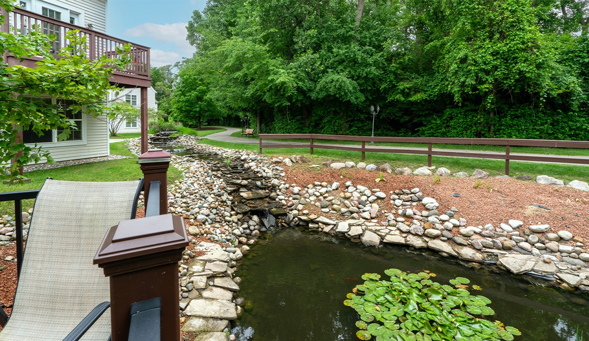 peaceful view of a small stream flowing beside a wooden deck surrounded by greenery.