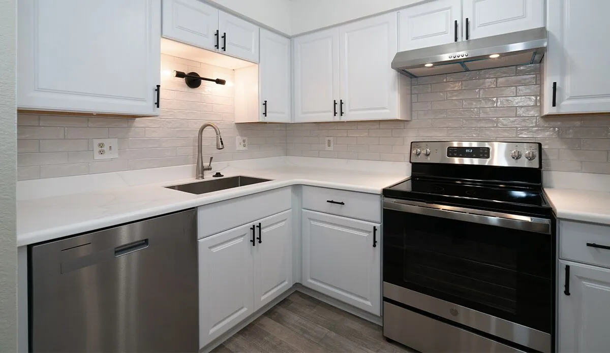 Modern Kitchen