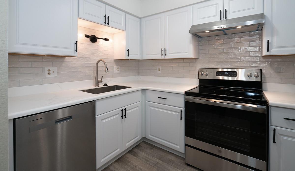 Modern Kitchen